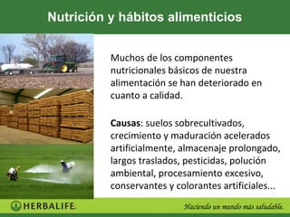 Nutrición y hábitos alimenticios


          Muchos de los componentes
          nutricionales básicos de nuestra
          alimentación se han deteriorado en
          cuanto a calidad.

          Causas: suelos sobrecultivados,
          crecimiento y maduración acelerados
          artificialmente, almacenaje prolongado,
          largos traslados, pesticidas, polución
          ambiental, procesamiento excesivo,
          conservantes y colorantes artificiales...
 