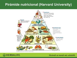 Pirámide nutricional (Harvard University)
 