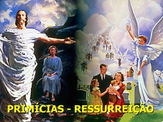PRIMÍCIAS - RESSURREIÇÃO
 