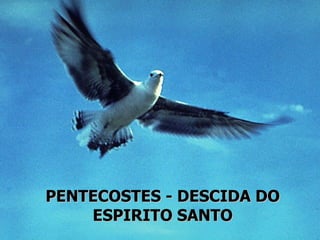 PENTECOSTES - DESCIDA DO
    ESPIRITO SANTO
 