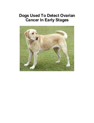 Dogs Used To Detect Ovarian
Cancer In Early Stages
 