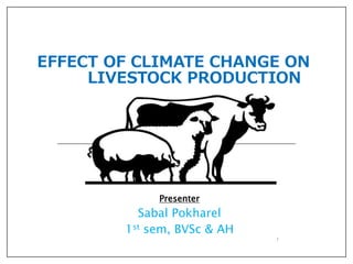 EFFECT OF CLIMATE CHANGE ON
LIVESTOCK PRODUCTION
Presenter
Sabal Pokharel
1st sem, BVSc & AH
1
 