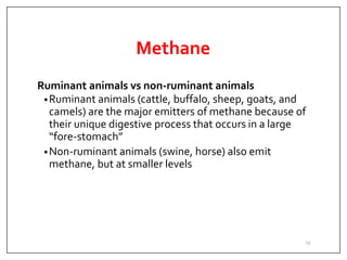 Methane
Ruminant animals vs non-ruminant animals
•Ruminant animals (cattle, buffalo, sheep, goats, and
camels) are the major emitters of methane because of
their unique digestive process that occurs in a large
“fore-stomach”
•Non-ruminant animals (swine, horse) also emit
methane, but at smaller levels
10
 
