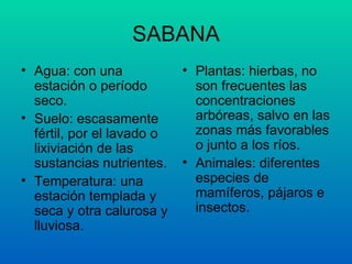 SABANA Agua: con una estación o período seco. Suelo: escasamente fértil, por el lavado o lixiviación de las sustancias nutrientes. Temperatura: una estación templada y seca y otra calurosa y lluviosa. Plantas: hierbas, no son frecuentes las concentraciones arbóreas, salvo en las zonas más favorables o junto a los ríos. Animales: diferentes especies de mamíferos, pájaros e insectos.