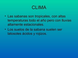 CLIMA Las sabanas son tropicales, con altas temperaturas todo el año pero con lluvias altamente estacionales. Los suelos de la sabana suelen ser latosoles ácidos y rojizos.