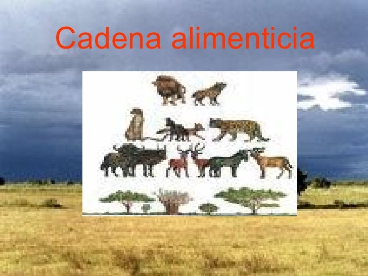 Sabana