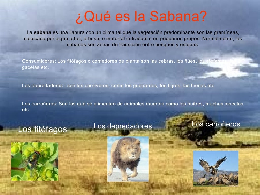 Sabana