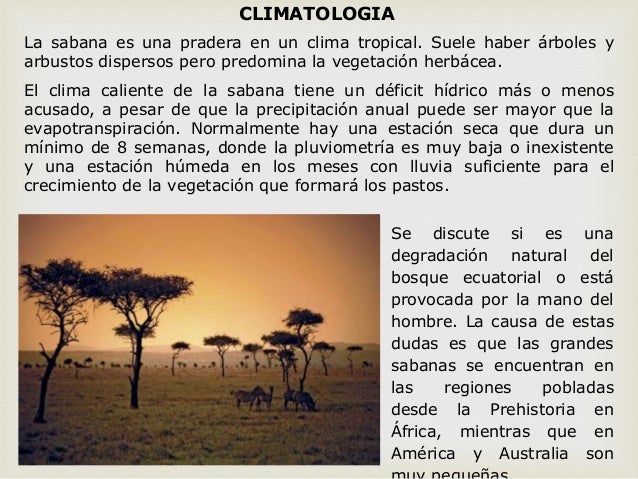 Sabana