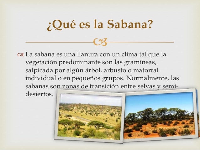 Sabana