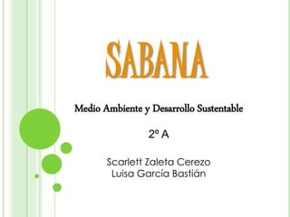 Medio Ambiente y Desarrollo Sustentable
2º A
Scarlett Zaleta Cerezo
Luisa García Bastián
SABANA
 
