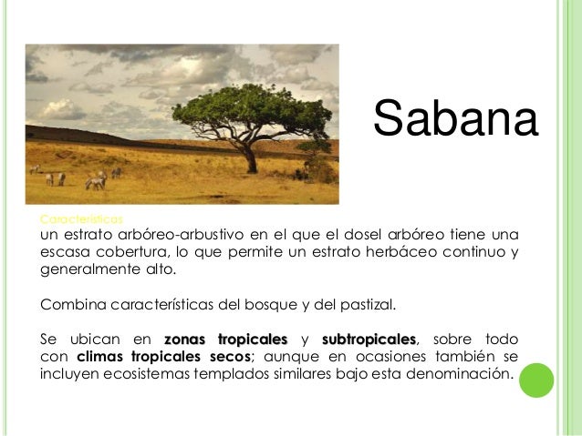 Sabana