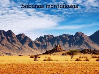 Sabanas montañosas
