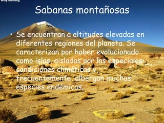 Sabanas montañosas
• Se encuentran a altitudes elevadas en
diferentes regiones del planeta. Se
caracterizan por haber evolucionado
como islas, aisladas por las especiales
condiciones climáticas y,
frecuentemente, albergan muchas
especies endémicas.