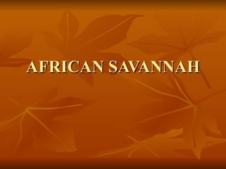AFRICAN SAVANNAH 