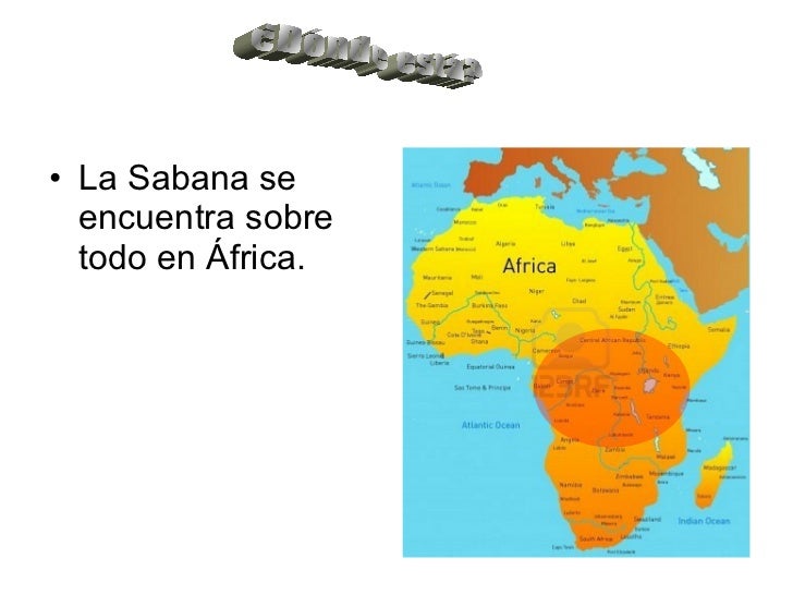 Que Es La Sabana