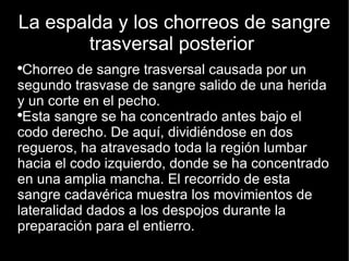 La espalda y los chorreos de sangre trasversal posterior  Chorreo de sangre trasversal causada por un segundo trasvase de sangre salido de una herida y un corte en el pecho. Esta sangre se ha concentrado antes bajo el codo derecho. De aquí, dividiéndose en dos regueros, ha atravesado toda la región lumbar hacia el codo izquierdo, donde se ha concentrado en una amplia mancha. El recorrido de esta sangre cadavérica muestra los movimientos de lateralidad dados a los despojos durante la preparación para el entierro. 
