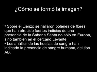Sobre el Lienzo se hallaron pólenes de flores que han ofrecido fuertes indicios de una presencia de la Sábana Santa no sólo en Europa, sino también en el cercano Levante; Los análisis de las huellas de sangre han indicado la presencia de sangre humana, del tipo AB.  ¿Cómo se formó la imagen? 