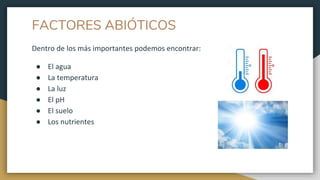 FACTORES ABIÓTICOS
Dentro de los más importantes podemos encontrar:
● El agua
● La temperatura
● La luz
● El pH
● El suelo
● Los nutrientes
 