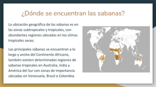 ¿Dónde se encuentran las sabanas?
La ubicación geográfica de las sabanas es en
las zonas subtropicales y tropicales, con
abundantes regiones ubicadas en los climas
tropicales secos.
Las principales sábanas se encuentran a lo
largo y ancho del Continente Africano,
también existen determinadas regiones de
sabanas tropicales en Australia, India y
América del Sur con zonas de importancia
ubicadas en Venezuela, Brasil o Colombia.
 