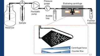 CELL SYNCHRONIZATION (PHYSICAL SEPARATION AND CHEMICAL BLOCKADE) | PPTX