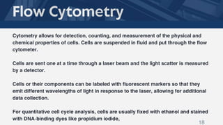 CELL SYNCHRONIZATION (PHYSICAL SEPARATION AND CHEMICAL BLOCKADE) | PPTX