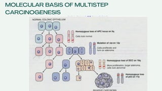 BIOCHEMISTRY OF CANCER, MOLECULAR BIOLOGY OF CANCER, TUMOR SUPPRESSOR ...