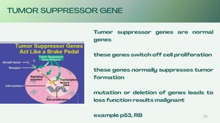 BIOCHEMISTRY OF CANCER, MOLECULAR BIOLOGY OF CANCER, TUMOR SUPPRESSOR ...