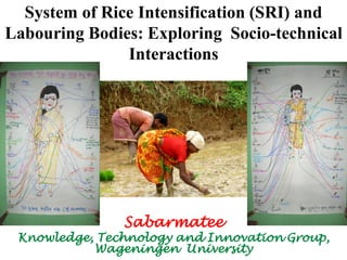 System of Rice Intensification (SRI) and
Labouring Bodies: Exploring Socio-technical
Interactions

Sabarmatee

Knowledge, Technology and Innovation Group,
Wageningen University

 