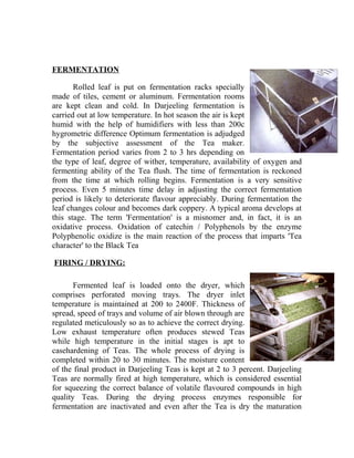 FERMENTATION 
Rolled leaf is put on fermentation racks specially 
made of tiles, cement or aluminum. Fermentation rooms 
are kept clean and cold. In Darjeeling fermentation is 
carried out at low temperature. In hot season the air is kept 
humid with the help of humidifiers with less than 200c 
hygrometric difference Optimum fermentation is adjudged 
by the subjective assessment of the Tea maker. 
Fermentation period varies from 2 to 3 hrs depending on 
the type of leaf, degree of wither, temperature, availability of oxygen and 
fermenting ability of the Tea flush. The time of fermentation is reckoned 
from the time at which rolling begins. Fermentation is a very sensitive 
process. Even 5 minutes time delay in adjusting the correct fermentation 
period is likely to deteriorate flavour appreciably. During fermentation the 
leaf changes colour and becomes dark coppery. A typical aroma develops at 
this stage. The term 'Fermentation' is a misnomer and, in fact, it is an 
oxidative process. Oxidation of catechin / Polyphenols by the enzyme 
Polyphenolic oxidize is the main reaction of the process that imparts 'Tea 
character' to the Black Tea 
FIRING / DRYING: 
Fermented leaf is loaded onto the dryer, which 
comprises perforated moving trays. The dryer inlet 
temperature is maintained at 200 to 2400F. Thickness of 
spread, speed of trays and volume of air blown through are 
regulated meticulously so as to achieve the correct drying. 
Low exhaust temperature often produces stewed Teas 
while high temperature in the initial stages is apt to 
casehardening of Teas. The whole process of drying is 
completed within 20 to 30 minutes. The moisture content 
of the final product in Darjeeling Teas is kept at 2 to 3 percent. Darjeeling 
Teas are normally fired at high temperature, which is considered essential 
for squeezing the correct balance of volatile flavoured compounds in high 
quality Teas. During the drying process enzymes responsible for 
fermentation are inactivated and even after the Tea is dry the maturation 
 
