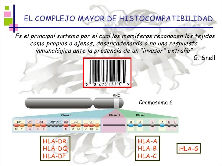 Sabías que... Complejo Mayor de Sabías que... Complejo Mayor de