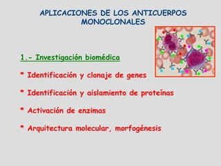APLICACIONES DE LOS ANTICUERPOS
              MONOCLONALES



1.- Investigación biomédica

* Identificación y clonaje de genes

* Identificación y aislamiento de proteínas

* Activación de enzimas

* Arquitectura molecular, morfogénesis
 