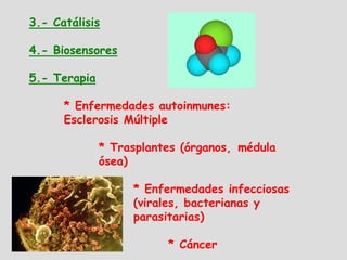 3.- Catálisis

4.- Biosensores

5.- Terapia

      * Enfermedades autoinmunes:
      Esclerosis Múltiple

              * Trasplantes (órganos, médula
              ósea)

                   * Enfermedades infecciosas
                   (virales, bacterianas y
                   parasitarias)

                         * Cáncer
 