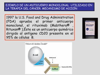 EJEMPLO DE UN ANTICUERPO MONOCLONAL UTILIZADO EN
LA TERAPIA DEL CÁNCER. MECANISMO DE ACCIÓN


1997 la U.S. Food and Drug Administration
(FDA) aprueba el primer anticuerpo
monoclonal, el rituximab (Mabthera® ,
Rituxan® ),Éste es un anticuerpo quimérico
dirigido al antígeno CD20 presente en el
95% de células B.
 