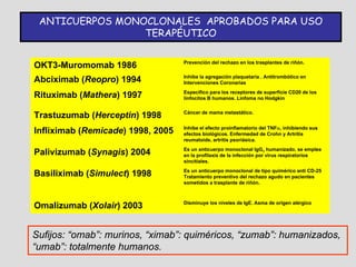 ANTICUERPOS MONOCLONALES APROBADOS PARA USO
                 TERAPÉUTICO

                                   Prevención del rechazo en los trasplantes de riñón.
OKT3-Muromomab 1986
                                   Inhibe la agregación plaquetaría . Antitrombótico en
Abciximab (Reopro) 1994            Intervenciones Coronarias
                                   Específico para los receptores de superficie CD20 de los
Rituximab (Mathera) 1997           linfocitos B humanos. Linfoma no Hodgkin

                                   Cáncer de mama metastático.
Trastuzumab (Herceptin) 1998
                                   Inhibe el efecto proinflamatorio del TNFα, inhibiendo sus
Infliximab (Remicade) 1998, 2005   efectos biológicos. Enfermedad de Crohn y Artritis
                                   reumatoide, artritis psoriásica.
                                   Es un anticuerpo monoclonal IgG1 humanizado, se emplea
Palivizumab (Synagis) 2004         en la profilaxis de la infección por virus respiratorios
                                   sincitiales.
                                   Es un anticuerpo monoclonal de tipo quimérico anti CD-25
Basiliximab (Simulect) 1998        Tratamiento preventivo del rechazo agudo en pacientes
                                   sometidos a trasplante de riñón.



                                   Disminuye los niveles de IgE. Asma de origen alérgico
Omalizumab (Xolair) 2003


Sufijos: “omab”: murinos, “ximab”: quiméricos, “zumab”: humanizados,
“umab”: totalmente humanos.
 