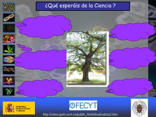 ¿Qué esperáis de la Ciencia ?




http://solea.quim.ucm.es/public_html/divul/sabias2.htm
http://solea.quim.ucm.es/public_html/divul/sabias2.htm
 