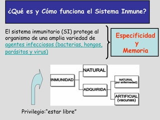 ¿Qué es y Cómo funciona el Sistema Inmune?


El sistema inmunitario (SI) protege al
organismo de una amplia variedad de       Especificidad
agentes infecciosos (bacterias, hongos,         y
parásitos y virus)                          Memoria




      Privilegio:“estar libre”
 