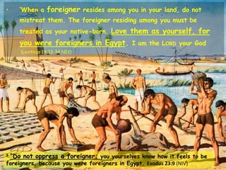 • ‘When a foreigner resides among you in your land, do not
mistreat them. The foreigner residing among you must be
treated as your native-born. Love them as yourself, for
you were foreigners in Egypt. I am the LORD your God
.(Leviticus 19:33-34 NIV)
9 “Do not oppress a foreigner; you yourselves know how it feels to be
foreigners, because you were foreigners in Egypt. Exodus 23:9 (NIV)
 
