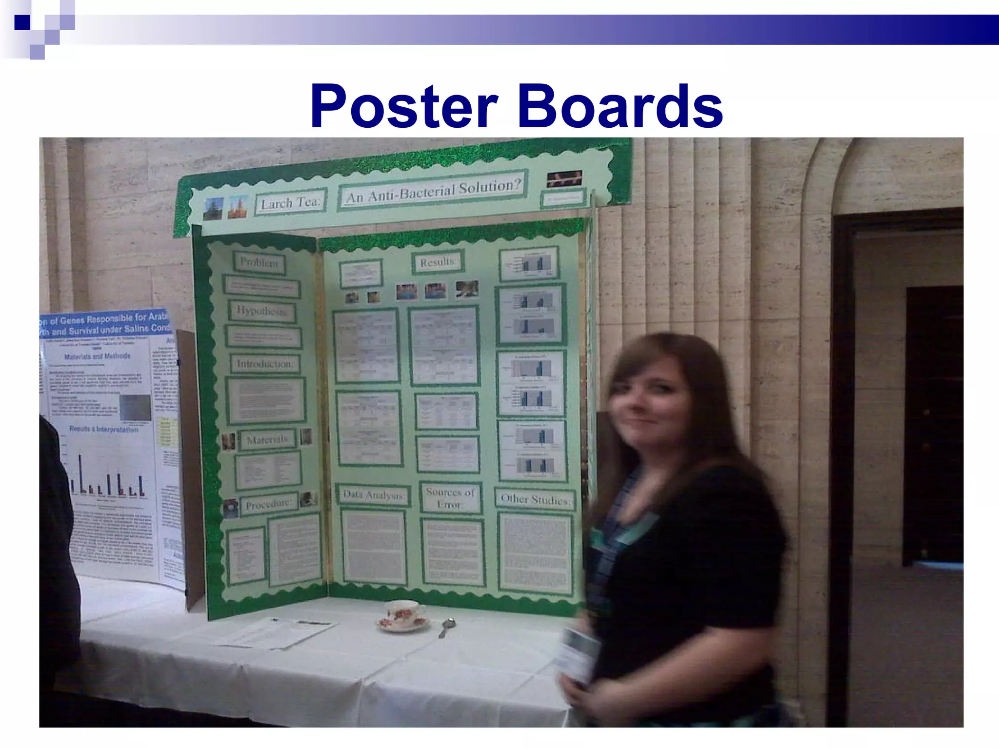 Poster Boards  