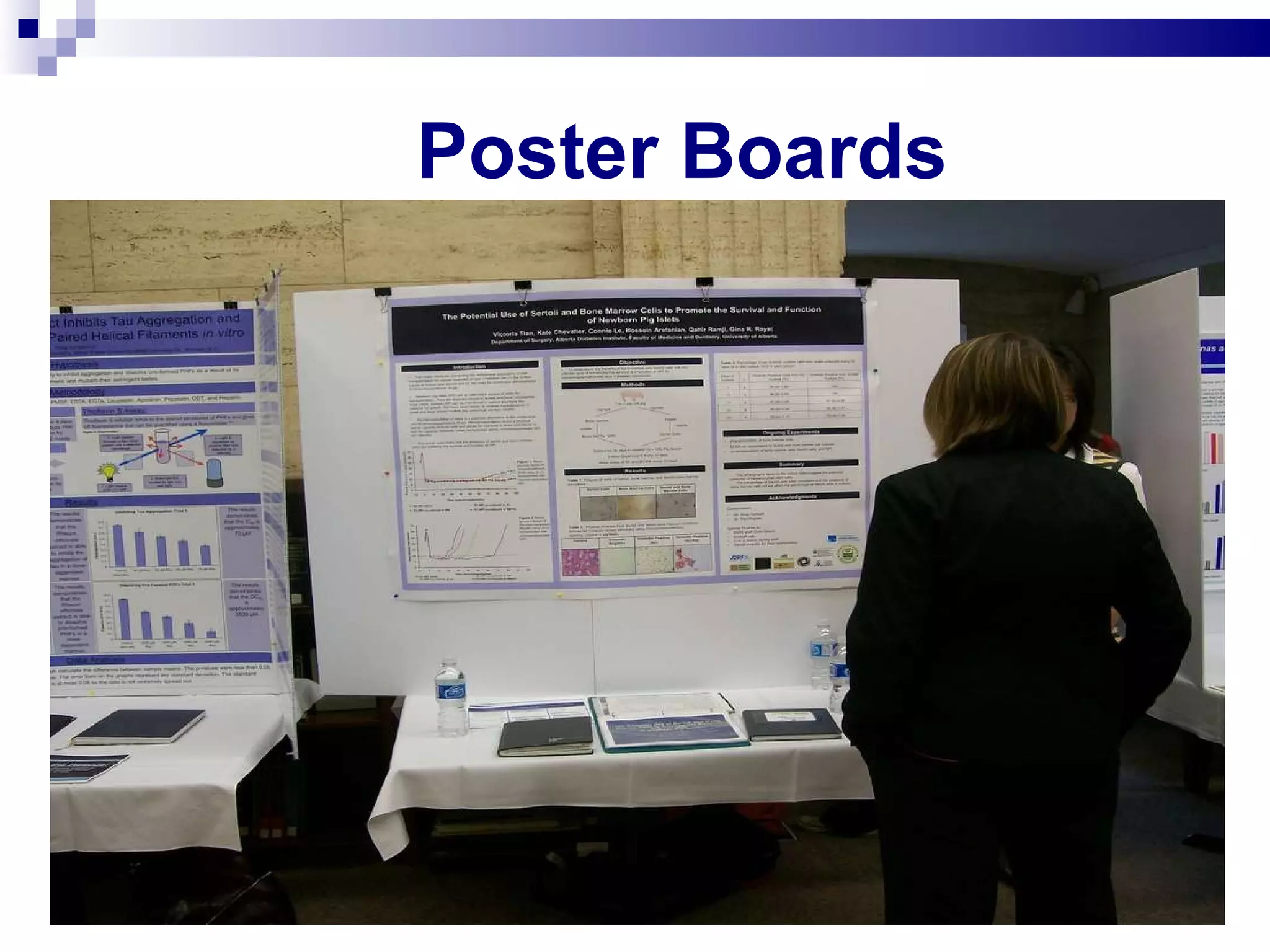 Poster Boards  