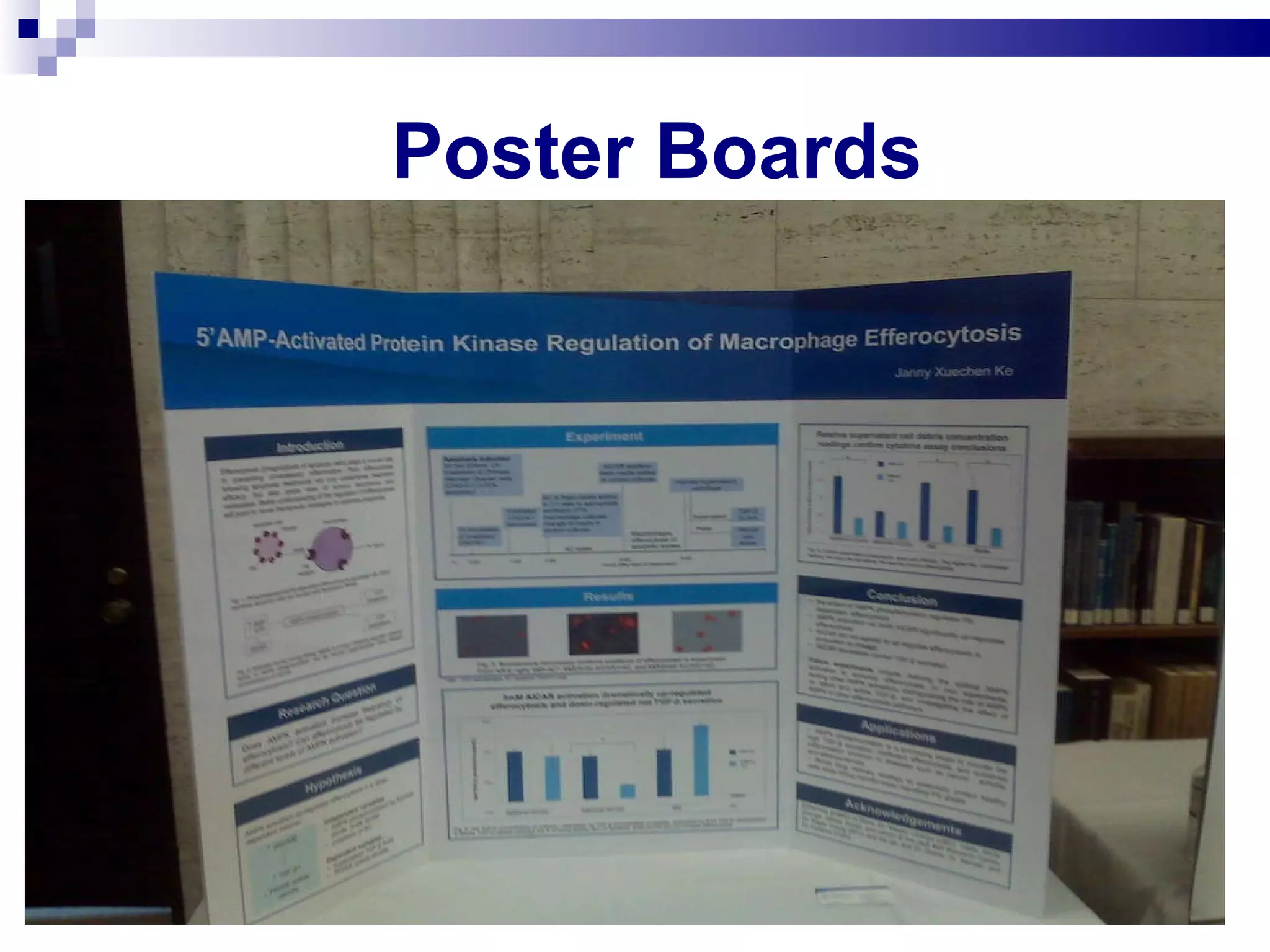 Poster Boards  