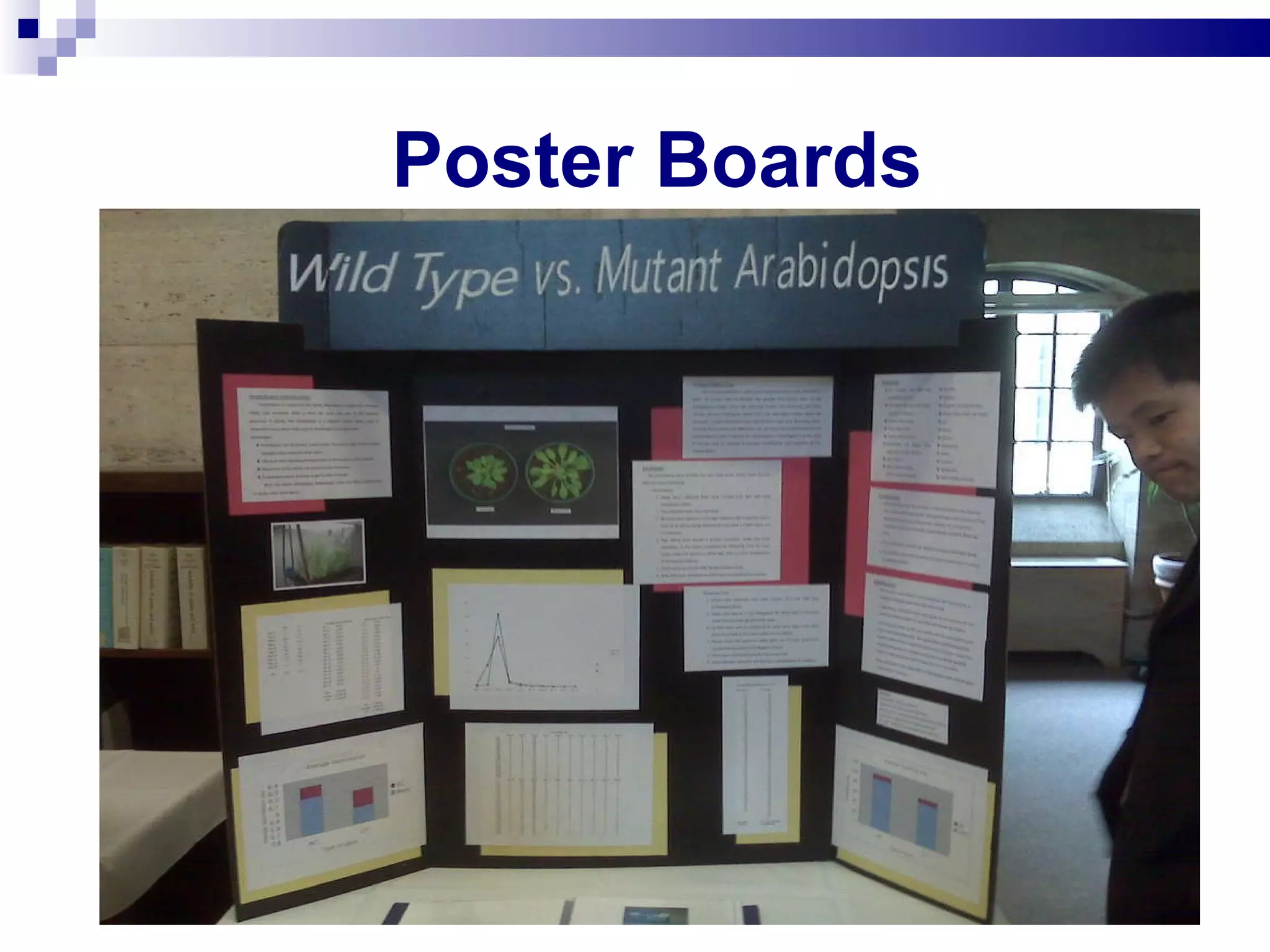 Poster Boards  
