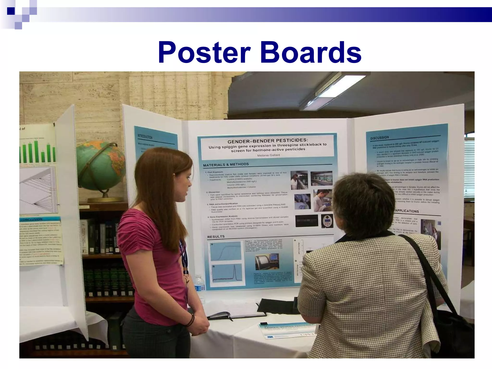 Poster Boards  