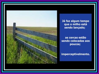 Já faz algum tempo
 que o milho está
  sendo lançado;


  as cercas estão
sendo colocadas aos
      poucos;


imperceptivelmente.
 