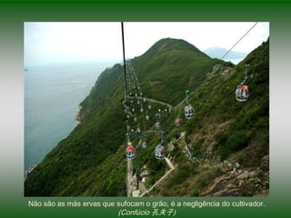 Não são as más ervas que sufocam o grão, é a negligência do cultivador.
                          (Confúcio 孔夫子)
 