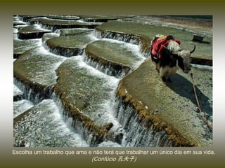 Escolha um trabalho que ama e não terá que trabalhar um único dia em sua vida.
                              (Confúcio 孔夫子)
 