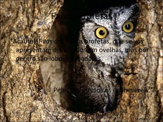 Falsos Profetas

“Acautelai-vos dos falsos profetas, que se vos
  apresentam disfarçados em ovelhas, mas por
  dentro são lobos roubadores.



              Pelos seus frutos os conhecereis.”


                                         Mateus 7:15-16
 