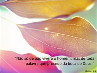 “Não só de pão viverá o homem, mas de toda
      palavra que procede da boca de Deus.”
                                     Mateus 4:4
 