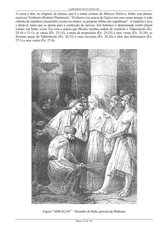 SABEDORIA DO EVANGELHO
Página 123 de 158
A coroa é dita, no original, de ákanta, que é o nome comum da Mimosa Nilótica. Sobre essa planta,
escreveu Teofrasto (História Plantarum): “O ákanto (ou acácia do Egito) tem esse nome porque é todo
coberto de espinhos (akantôdês) exceto no tronco; as próprias folhas são espinhosas”. A madeira é leve
e durável, tanto que se presta para a confecção de móveis. Em hebraico é denominada sittáh (plural
sittim), em latim, setim. Foi com a acácia que Moisés recebeu ordem de construir o Tabernáculo (Êx.
25:10 e 37:1); os varais (Êx. 25:13); a mesa da proposição (Êx. 25:23) e seus varais (Êx. 25:28); as
diversas peças do Tabernáculo (Êx. 26:15) e suas travessas (Êx. 26:26) o altar dos holocaustos (Êx.
27:1) e seus varais (Êx. 27:6).
Figura “AMEAÇAS” – Desenho de Bida, gravura de Hédouin
 