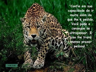 VOLTAR “ Confie em sua capacidade de ir muito além do que lhe é pedido. Você pode e consegue se ultrapassar. E isso lhe trará imenso prazer pessoal.” . . . 