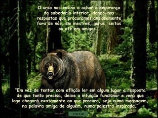 O urso nos ensina a achar a segurança
da sabedoria interior, dando-nos
respostas que procuramos ansiosamente
fora de nós, em mestres, gurus, seitas
ou até em amigos.”
“Em vez de tentar com aflição ler em algum lugar a resposta
de que tanto precisa, deixe a intuição funcionar e verá que
logo chegará exatamente ao que procura, seja numa mensagem,
na palavra amiga de alguém, numa palestra inspirada.”
VOLTAR
.
.
.
 